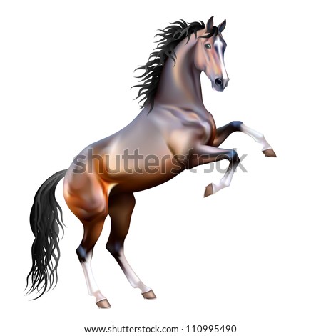 Vector photo-realistic bay horse rearing up isolated on white background