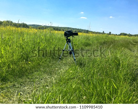 shooting wildlife on a camera with a tripod
