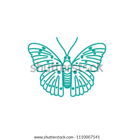 Butterfly vector drawing