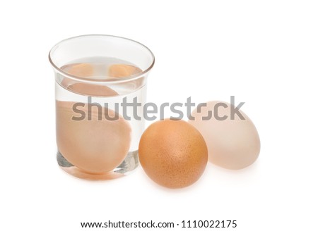egg in glass bowl of water. Egg freshness test isolated on white background.