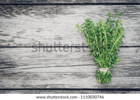 Thyme bunch. Bundle of fresh thymes on a wooden background. Retro magazine picture. Copy space.