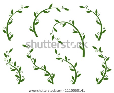 set of green olive branches