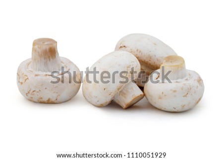 Fresh Champignons Mushroom on a white background. Clipping Path Royalty-Free Stock Photo #1110051929