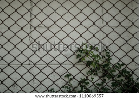 Abstract Curved Steel Fence With Plant Aluminium Texture Background. Detail