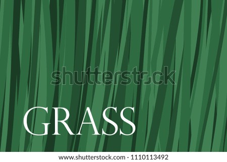 Vector grass banner background.