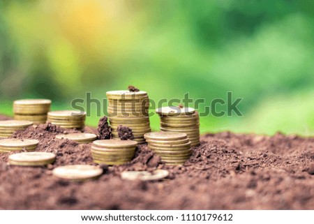 Golden stacked coins on ground. Business profit.