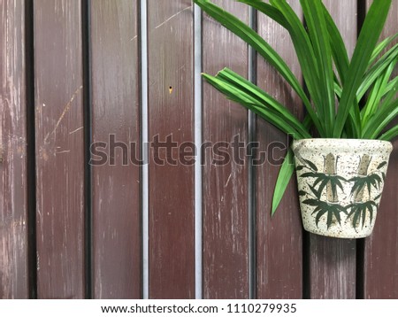 flowerpot decorate on the wall with landscape style 
