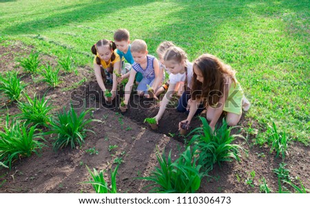a group of children is planting trees in the park