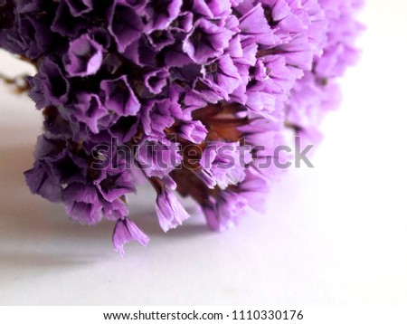 Dried colored flowers on a white background of the table. Romantic flowers. Vintage Flowers composition.