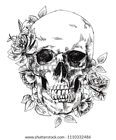 
Skull with flowers, with roses. Drawing by hand. Vector. Illustrator 10.