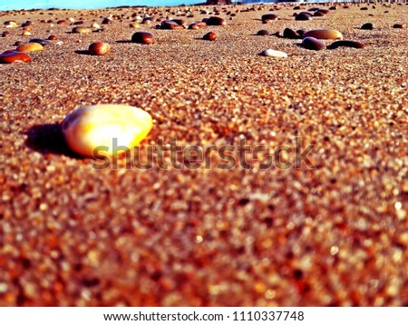 Sand background, closeup of sand