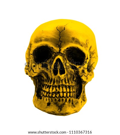 golden skull isolate on white background with clipping path