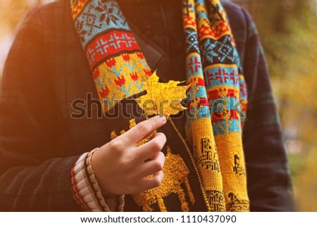 autumn background. Autumn maple leaf in girls hand. bright knitted scarf, coat. symbol of fall time. autumn season concept.