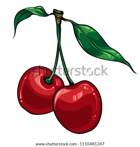 Cherry. Vector illustration