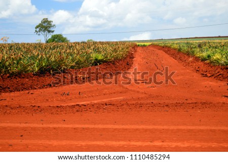 Oxidized soil at a pineapple plantation in Hawaii