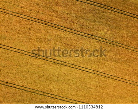 Aerial photo of wheat field