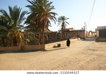 Arab woman walking in a rural street of a small village with dates palmtrees in the garden. Royalty-Free Stock Photo #1110544157