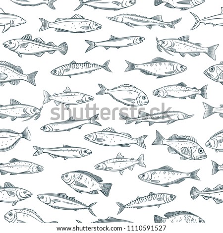 Vector seamless pattern hand drawn fish. Retro background with seafood tilapia, ocean perch, sardine, anchovy, sea bass, dorado and etc.