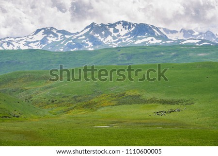 Landscape with snowy mountain peaks