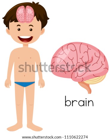Boy with brain placement illustration