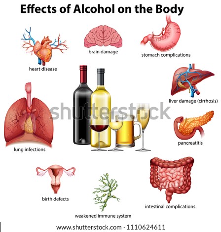 Effects of alcohol on the body illustration