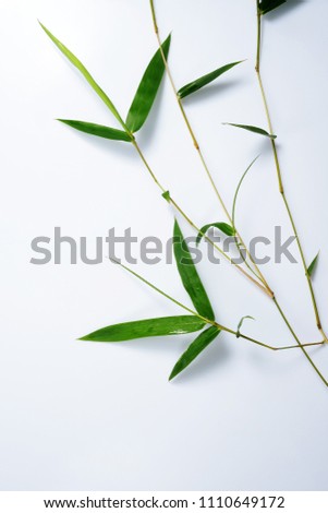 Bamboo leaves image
