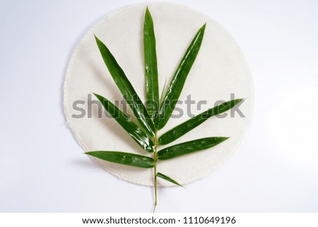 Bamboo leaves image