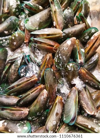Fresh mussel heap on ice for sale at seafood market.
