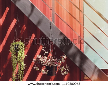 Outdoor garden with industrial style architecture. Light and shadow.