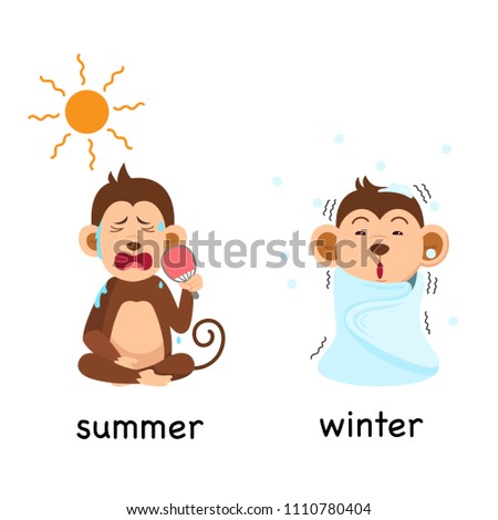 Opposite summer and winter vector illustration