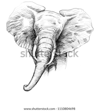 An elephant drawing with a pen