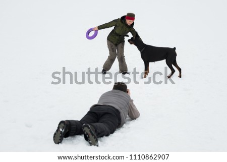 Training and playing with dogs Dobermans on a snowy field in winter. Photographer takes pictures