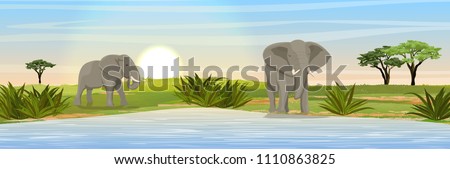 African elephants at the watering hole. Grass, a large lake, doum palm on the horizon. Realistic vector landscape. Nature and animals of Africa. Reserves and national parks.