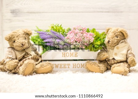 Flowers in a wooden box and cute bears. Flowers in a white wooden box, plush vintage bears. Romantic gift, background for congratulations