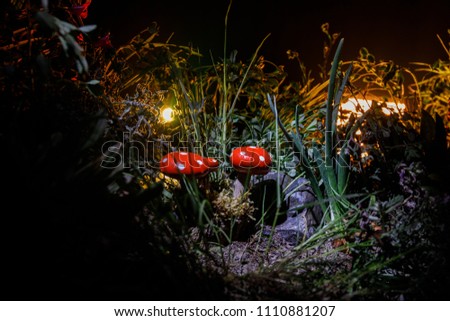 Three red mushrooms. Fantasy Glowing Mushrooms in mystery dark forest close-up. Beautiful macro shot of magic mushroom, fungus. Amanita muscaria, Fly Agaric in moss in forest. Selective focus