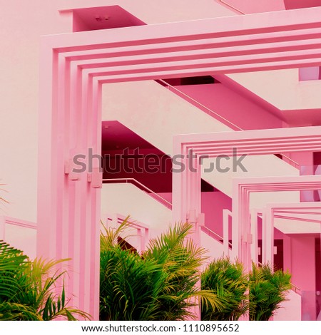 Tropical Palm and geometry. Minimal pink. Plants on pink concept. Fashion art