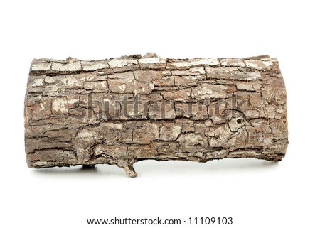 brown log, on white Royalty-Free Stock Photo #11109103