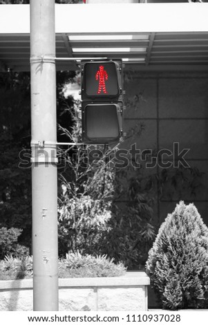 Crosswalk traffic lights on the road