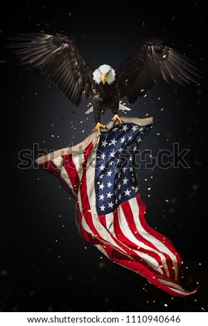 North American Bald Eagle flying with American flag. Freedom and democratic concept.