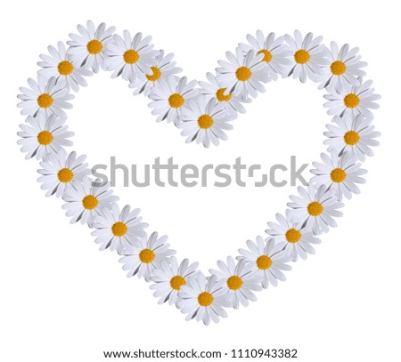 heart of daisies summertime love