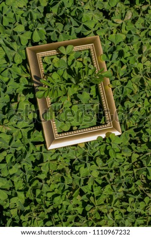 Blank wooden picture  frame ongreen grass background