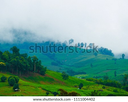 Blurred photo.The fog is covering around the hills,Using as background or wallpaper landscape concept.