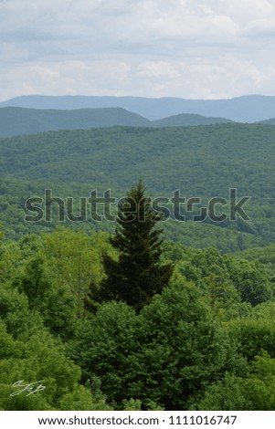 Mid day Mountain range with Clouds and trees