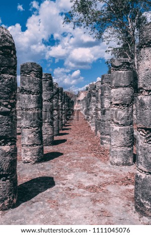 Hundreds of pillars from an ancient Maya ruins.