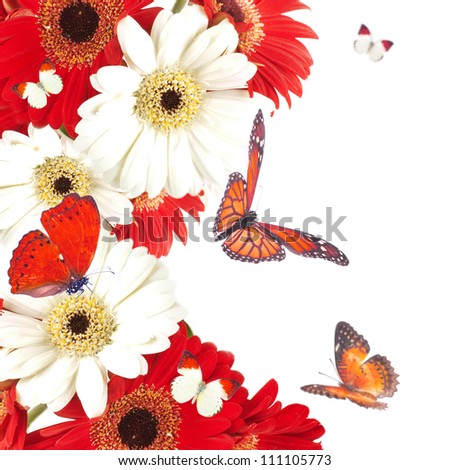 White and red flowers, bouquet of gerber
