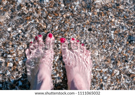 Legs on the seashore are visible through a layer of clear sea water
