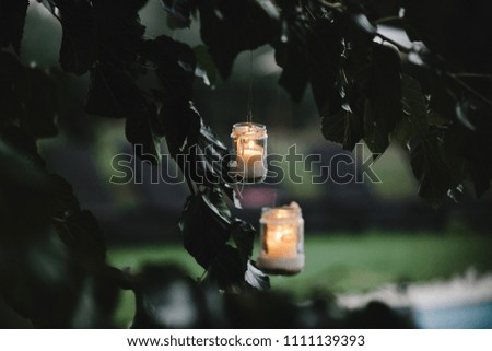 Bottles with white candles hang from the green tree