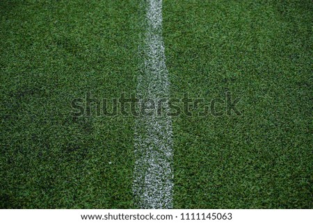 The dividing line on the grass of a football field.