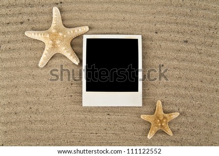 picture with starfishes on a marine squeak