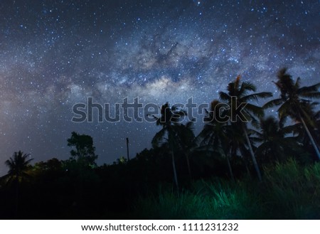 Milky Way Galaxy rise above coconut trees during clear night sky. Soft focus and noise due to long expose and high ISO.